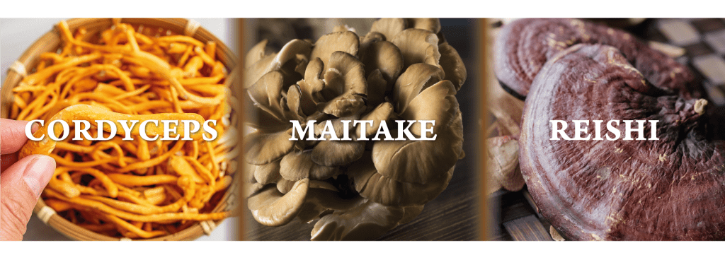 Immunformel ( 90 Kapseln) Nature's Sunshine NSP Polska